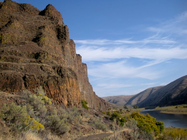 Cottonwood