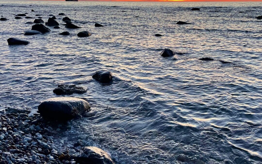 Life Across the Sea