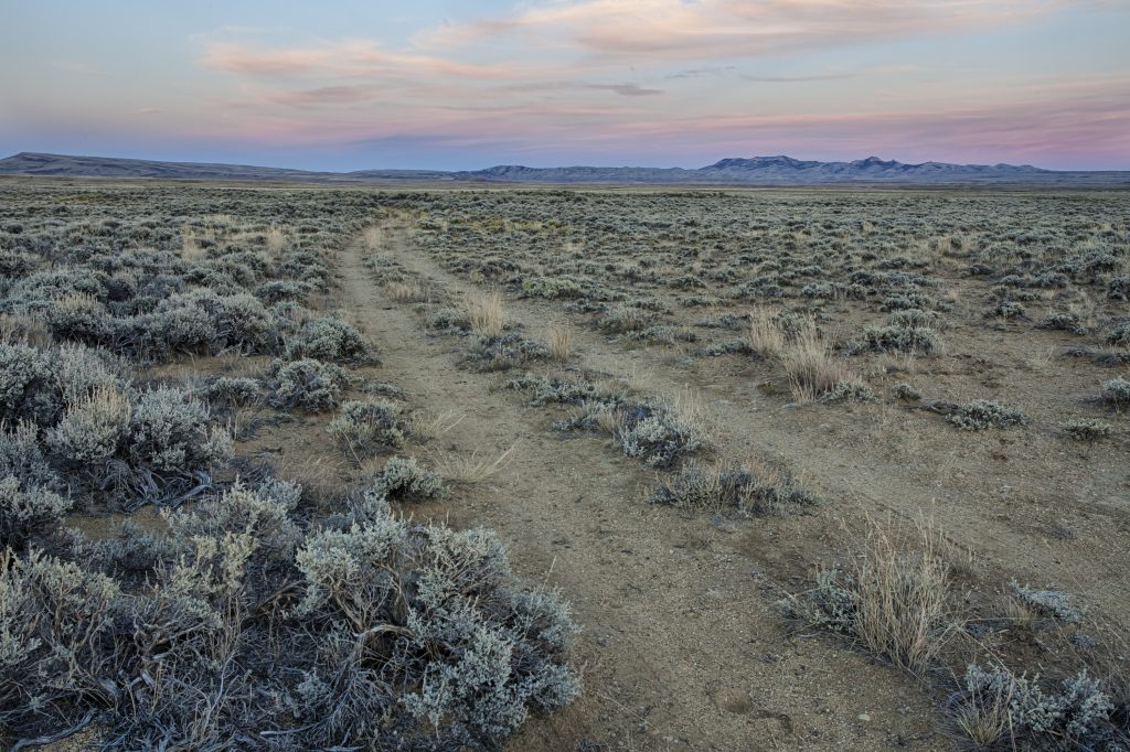 South_Pass_Area_of_Critical_Environmental_Concern_Wyoming_15472769319-1-1024x682