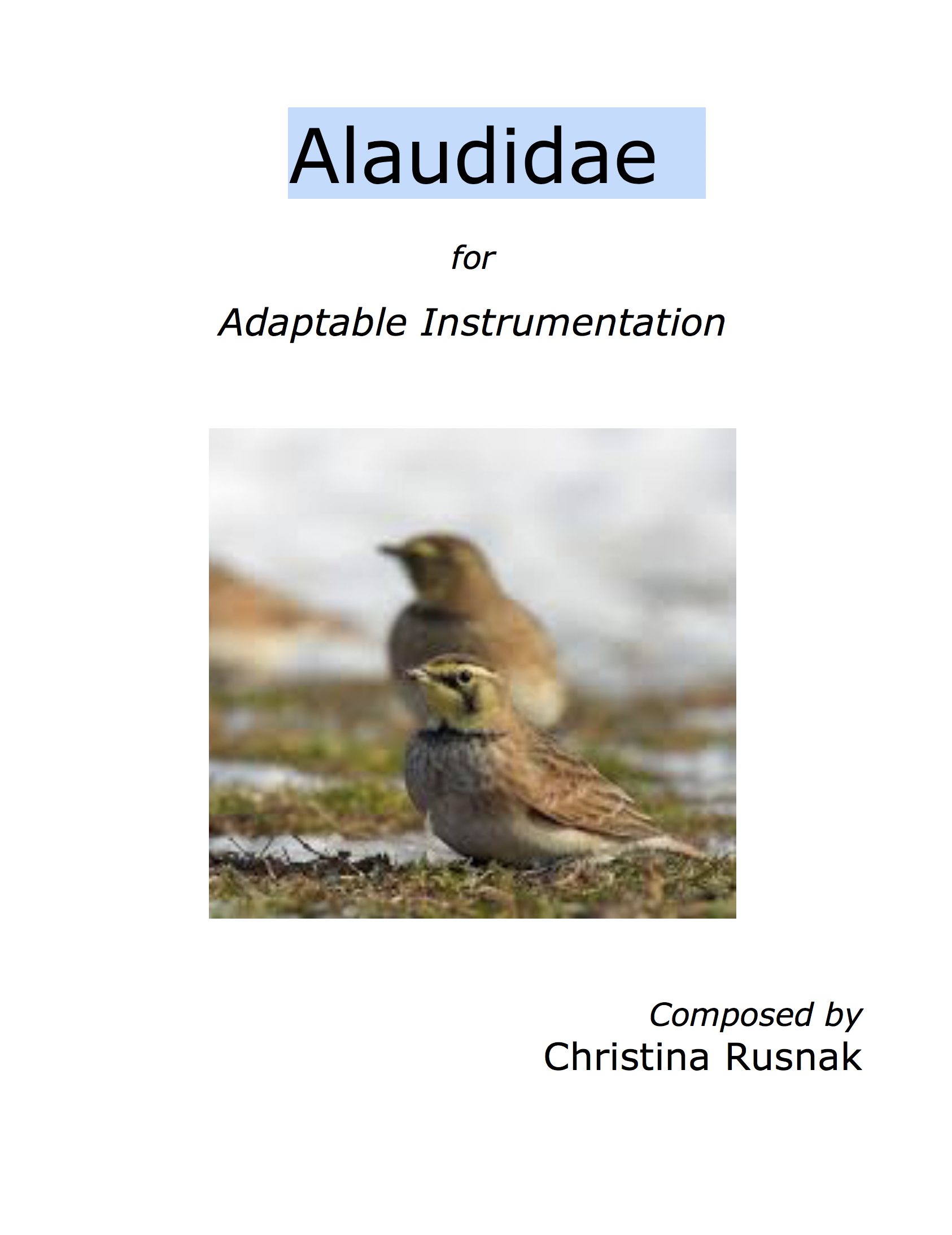 Alaudidae 2020 / 1998