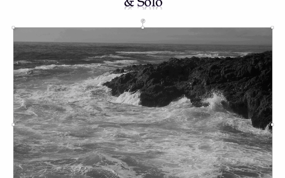 The Coast in Winter 2020 / 2018