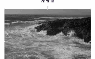 The Coast in Winter 2020 / 2018