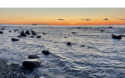 Life Across the Sea