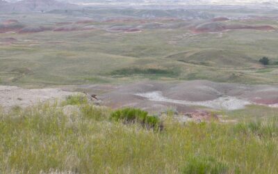 Wide Open Spaces 2024