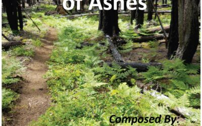 The Life of Ashes 2014