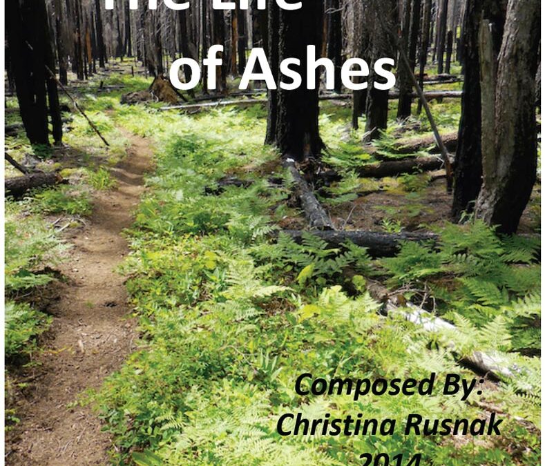 The Life of Ashes 2014